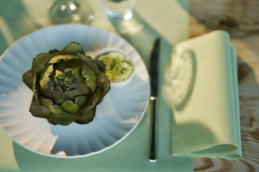serviettes-airlaid-bio-dunisoft-40x40-cm-360pcs-vert-pistache-ambiance.webp
