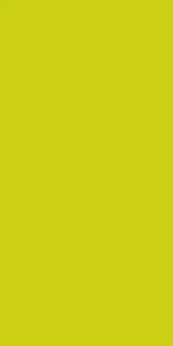 serviettes-airlaid-bio-dunisoft-40x40-cm-pliage-1-8-360pcs-kiwi-top.webp