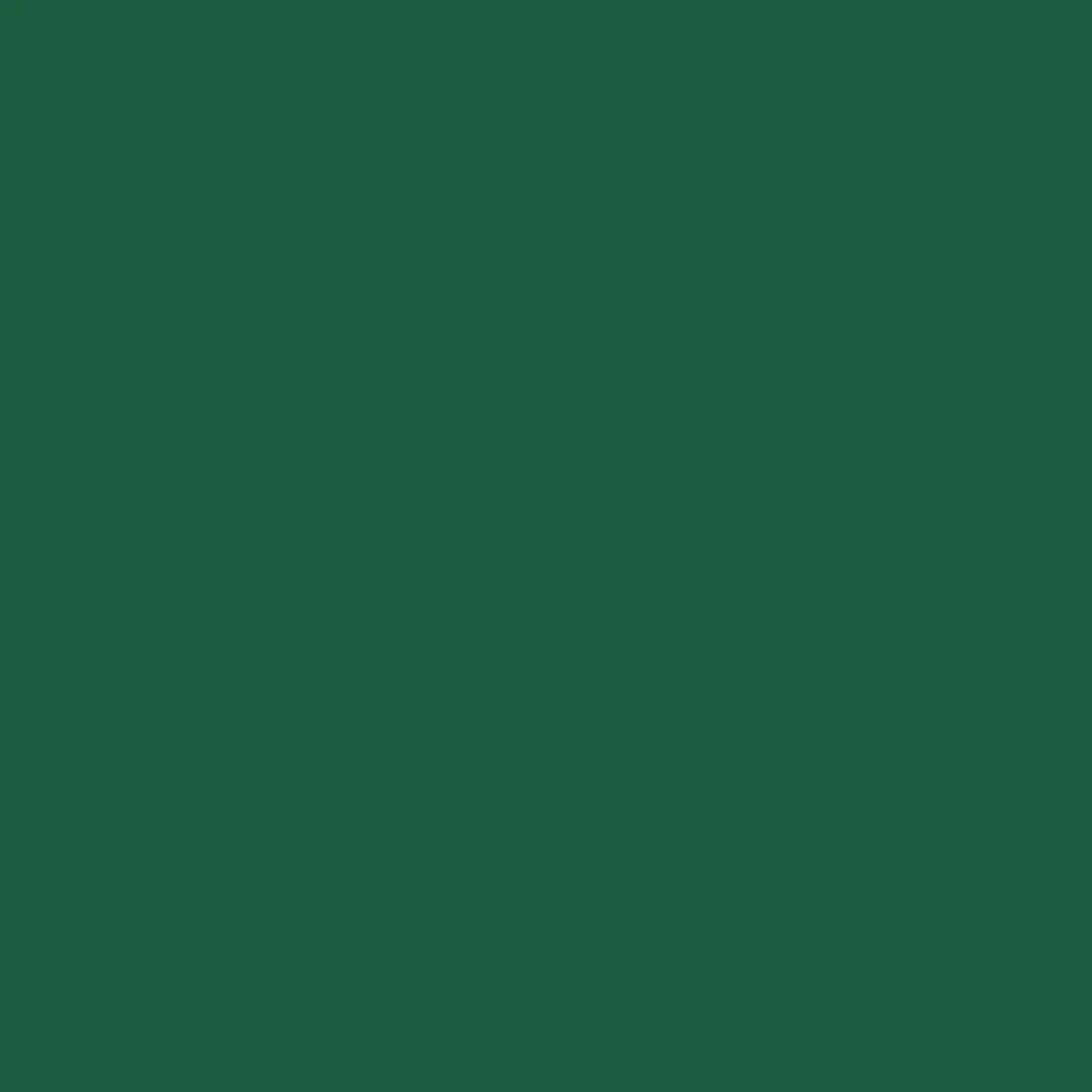serviettes-ouate-40x40-cm-2-plis-1250pcs-vert-fonce-top.webp