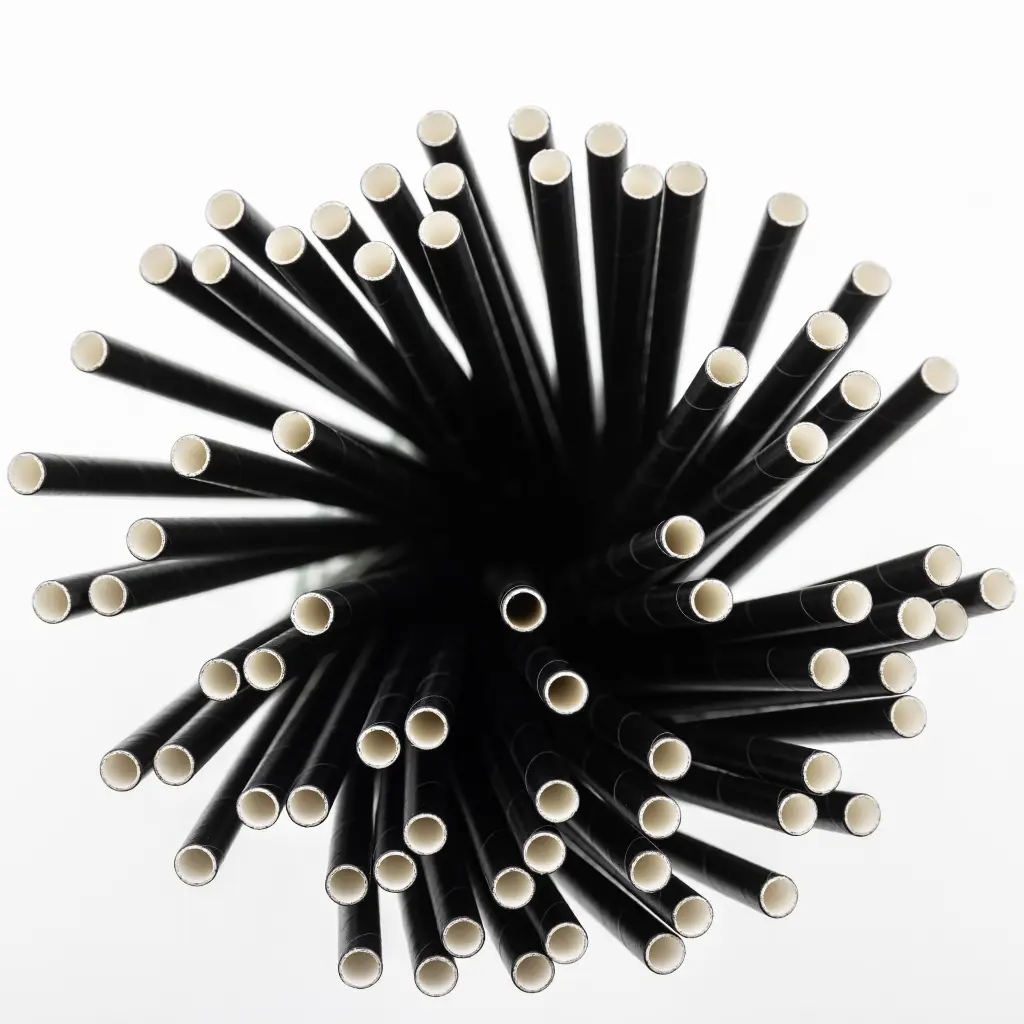 paille-en-carton-noir-150-pieces-bunch-top.webp