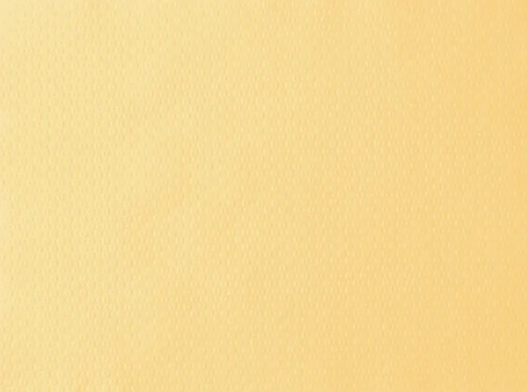 Paper Placemat Cream 30 x 40 cm 1000PCS